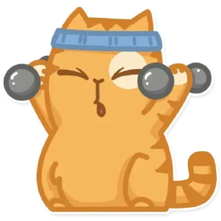 🏋️‍♂️