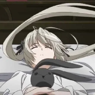 💤