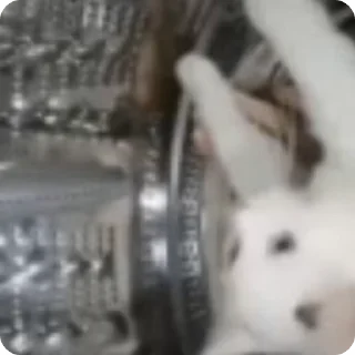 😶