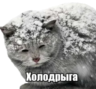 🥶