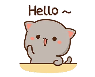 👋