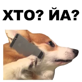 😮