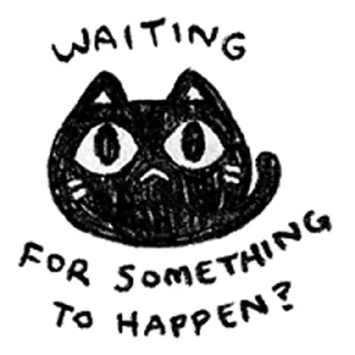 🐱