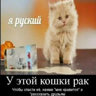 😭