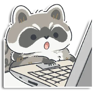 🦝