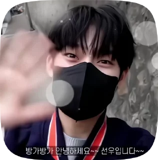 🦊 #sunoo★ by @arhivsd :: @fStikBot