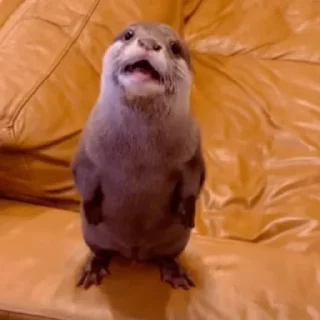 😱