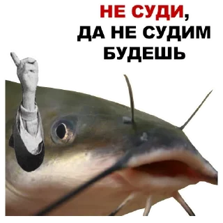 ☝️
