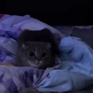 😉