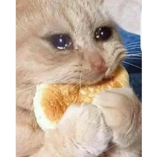 🥺