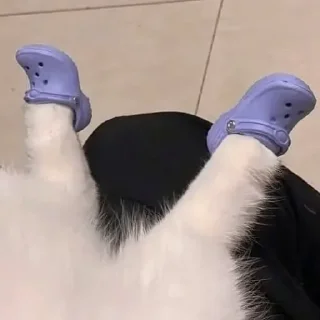 👠