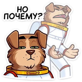 ❓