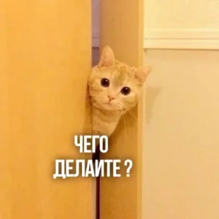 🧐