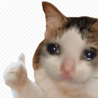 👍