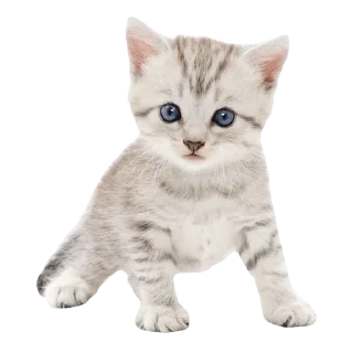 💕