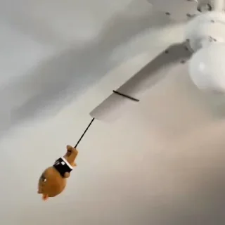 ✈️