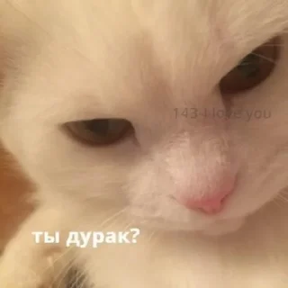 🥰