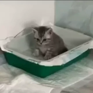 ☹️