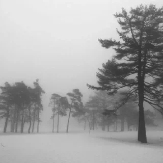 ❄️
