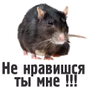 😠