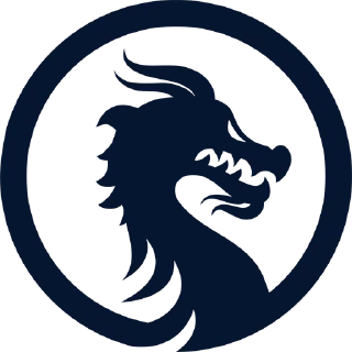 🐲