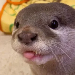 😛