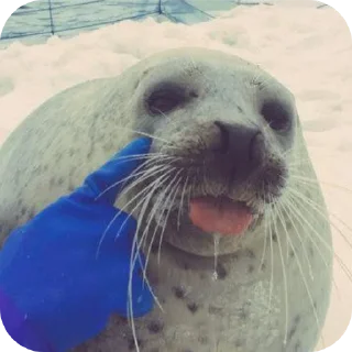 😝