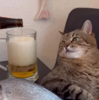 🍺