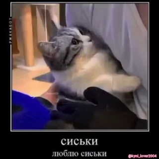 🥺