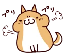 🐶