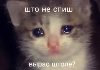 ❓