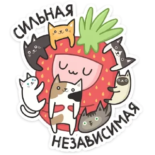 🐱