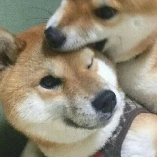 😋
