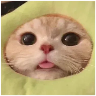 😛
