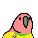 🦜