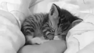 😴