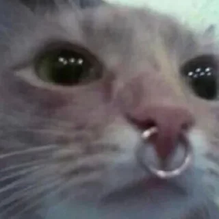 🤯