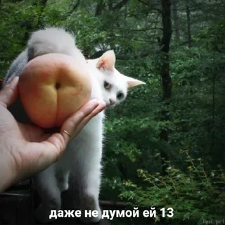 🙃