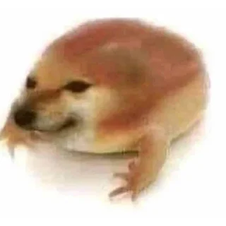 😶