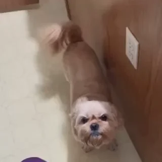 😠