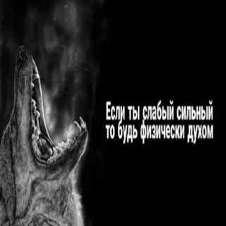 💪