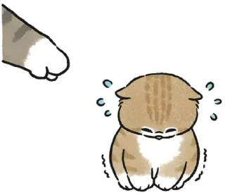 🫵
