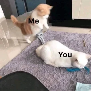 💞