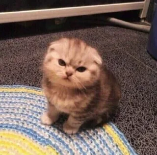 😡