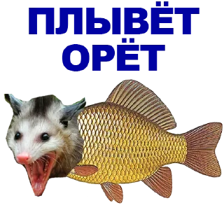 🐠