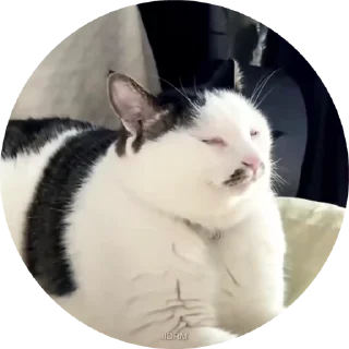 😑