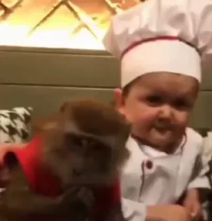 👨‍🍳