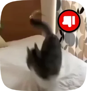 👎