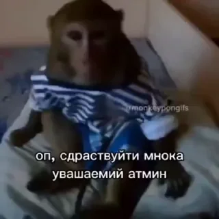 🤩