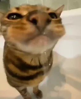 😛